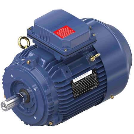 Marathon 1.1 Kw General Purpose Low Voltage Iec Motor, 3 Phase, 1200 Rpm, R617 R617